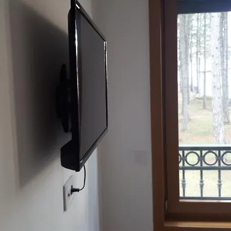 Elsa S15 ズラティボール