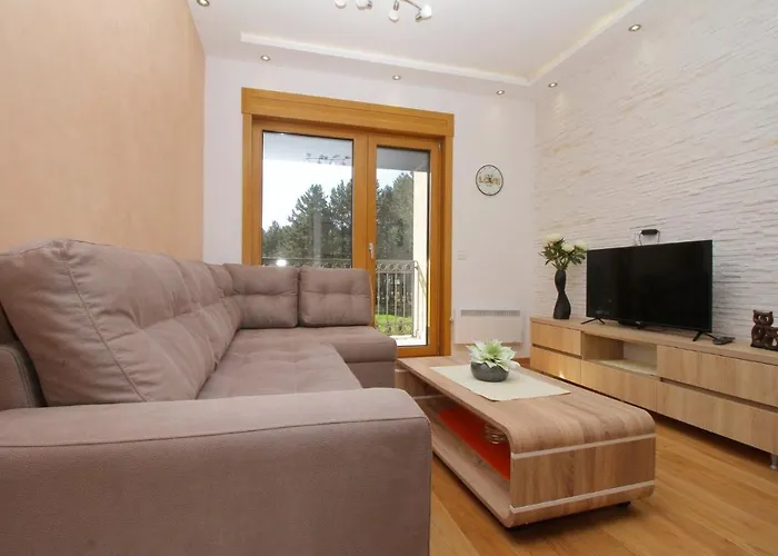 Elsa S15 زلاتيبور