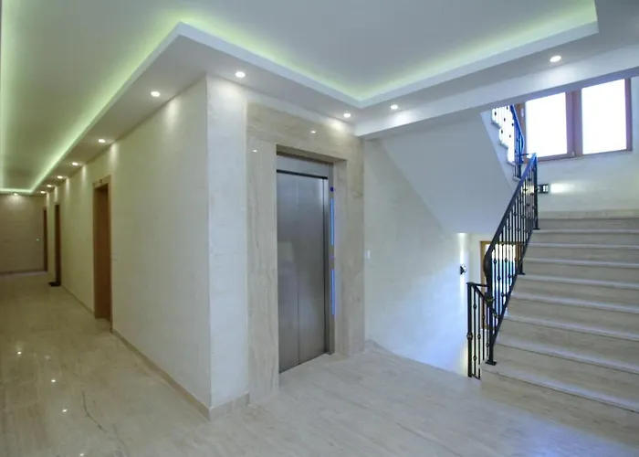 Elsa S15 زلاتيبور